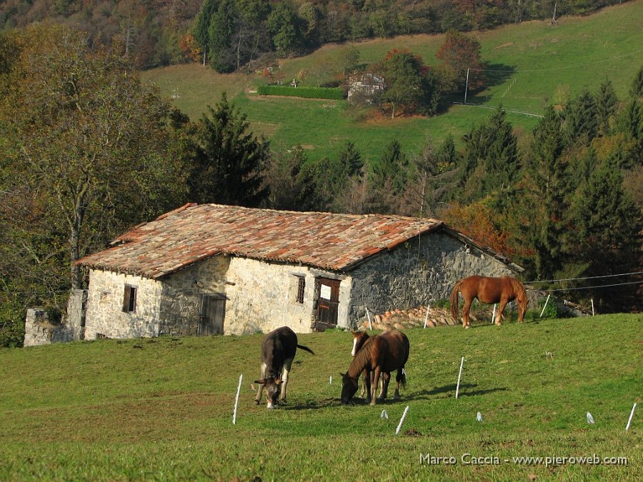 12_Baita e pascoli.jpg